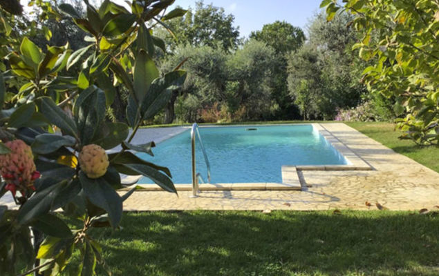 Olive Grove Sabina - Photo 2