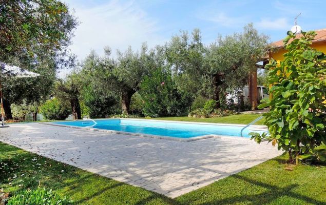 Olive Grove Sabina - Photo 4