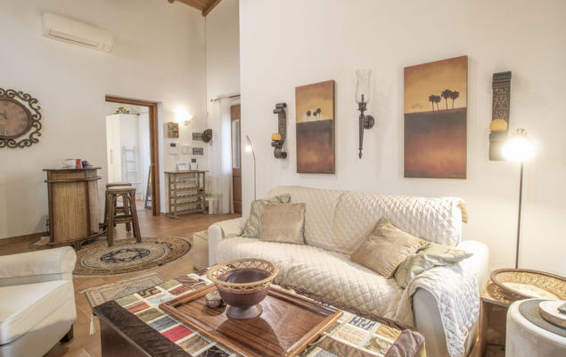 Olive Grove Sabina - Photo 9