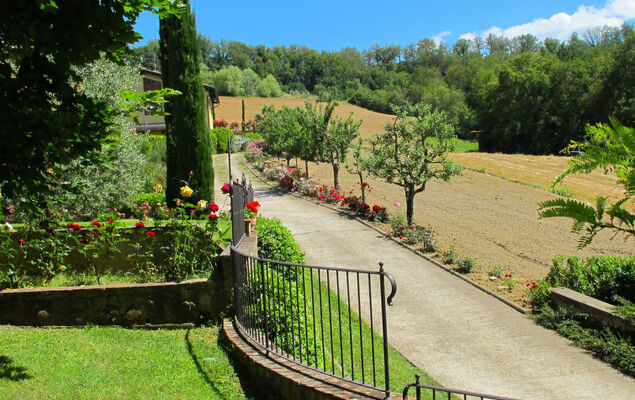 Rosmarino - Photo 30