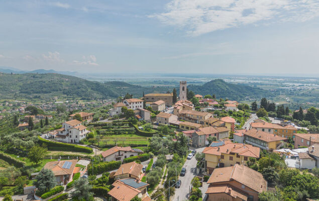 Villa Pardini - Photo 48