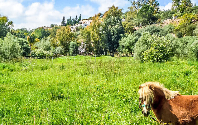 Pendle heights - Photo 18