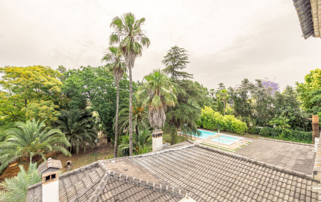 Las Codornices - Photo 47