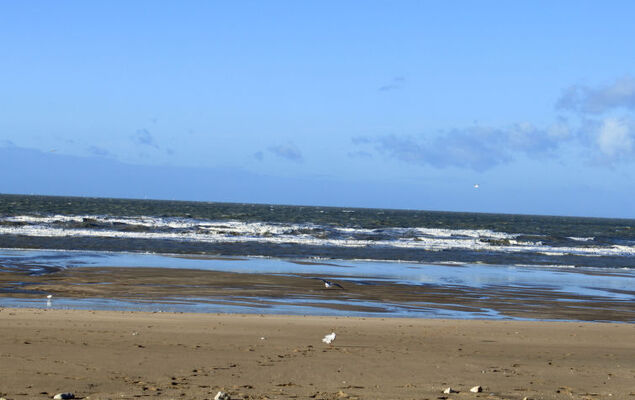 Les Corniches du Mont Canisy - Photo 16