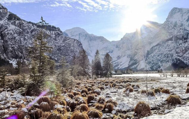 Spatzennest / Top 7 - Photo 31