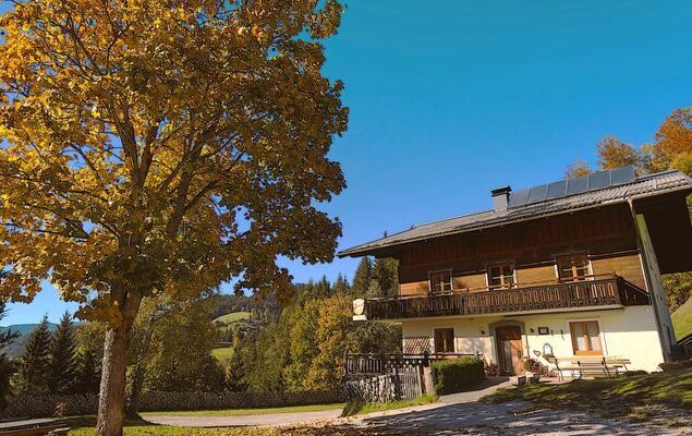 Rossbrand - Photo 33